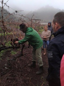 Proyecto madre del silencio